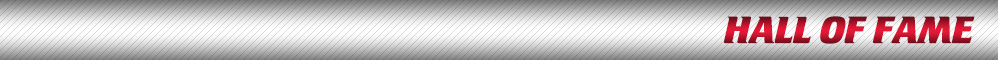  Hall Of Fame Icon 